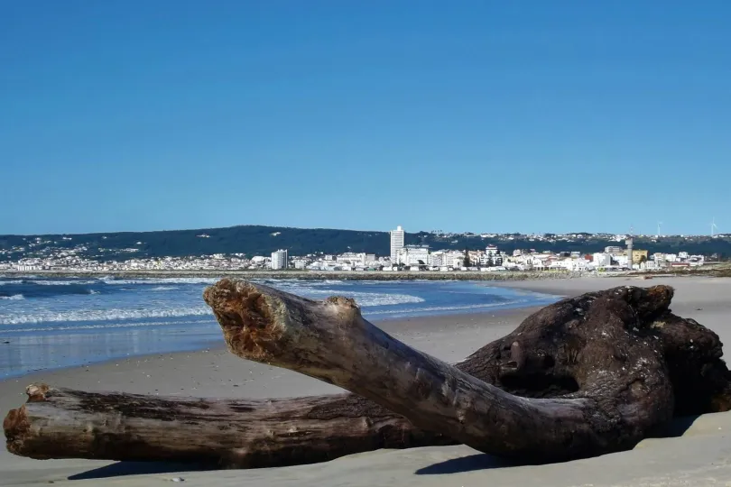 auf dem Strand liegt ein großer baumstamm.