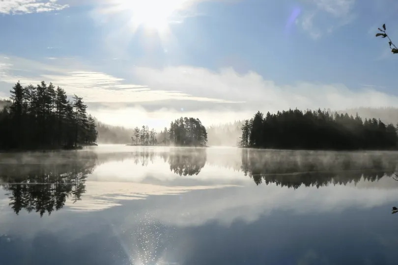 ruhigen See, umgeben von Bäumen in nebliger Atmosphäre.