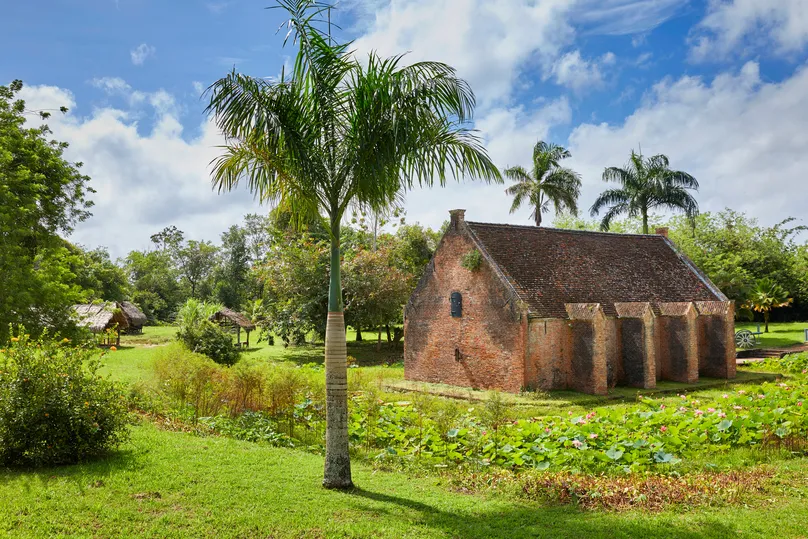 Ein Haus mitten Natur mit Palmenbaum in Commewijne, Suriname.