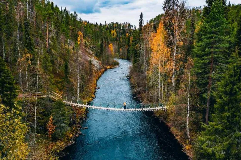 eine Hängebrücke, die über einen Fluss inmitten eines Waldes führt.