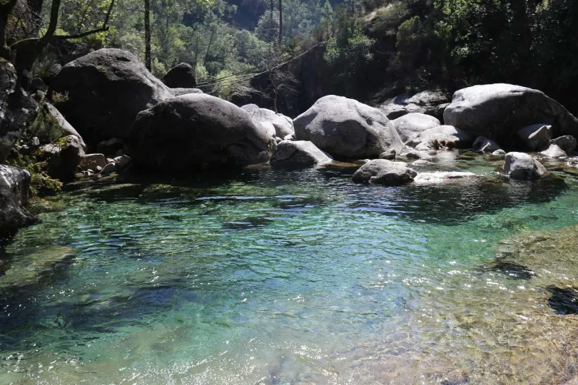Klares wasser und steine.
