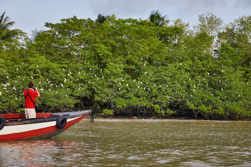 Bootstour im Dschungel Surinames.