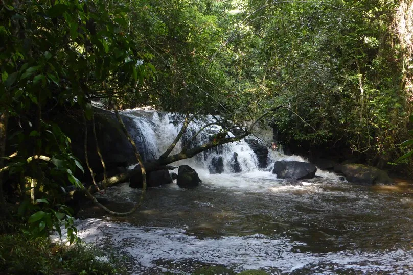 Wanderung in Suriname.
