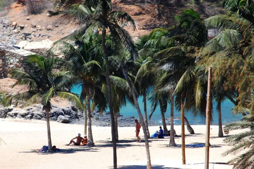 Strand mit Palmen.
