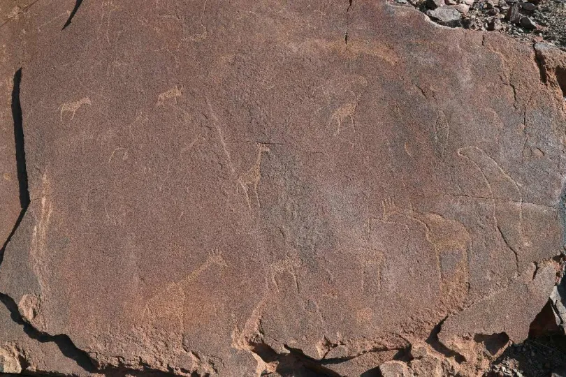 einen großen Felsen mit mehreren Petroglyphen also Felsritzungen von Giraffen. 