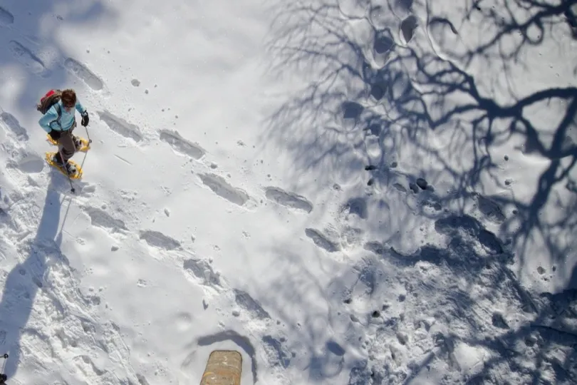ein Person, die mit Schneeschuhen über eine schneebedeckte Fläche läuft.