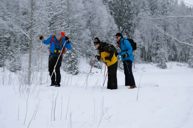 Drei Person sind skifahren.