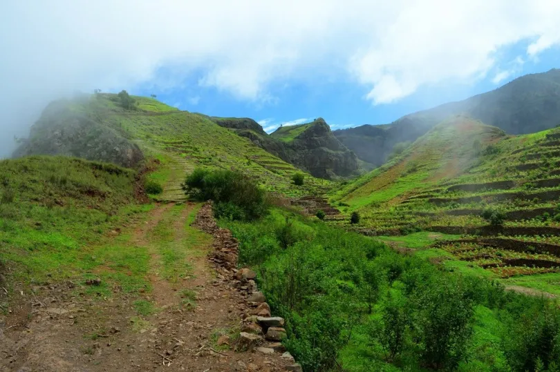 Grüne Landschaft