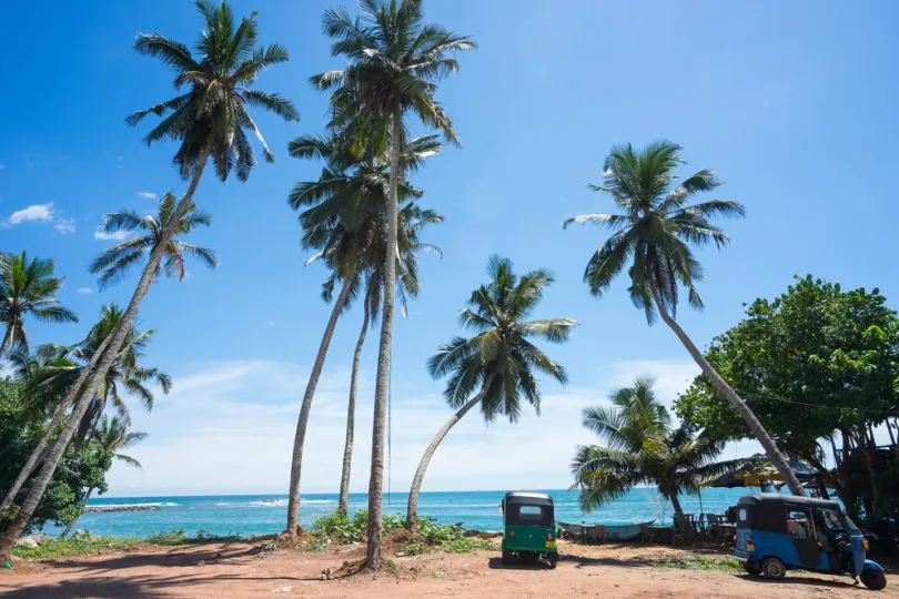 Strand mit zwei Rickshaws und Palmen.