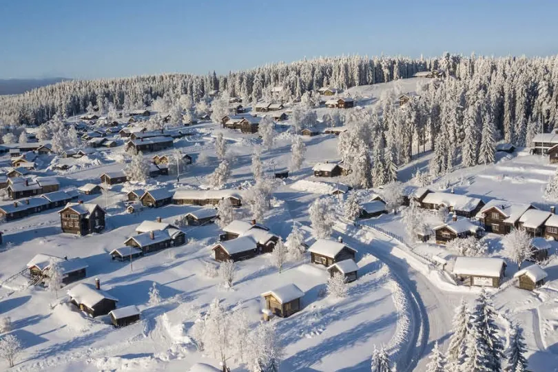 Hütten umgeben mit Bäumen und voll mit Schnee.