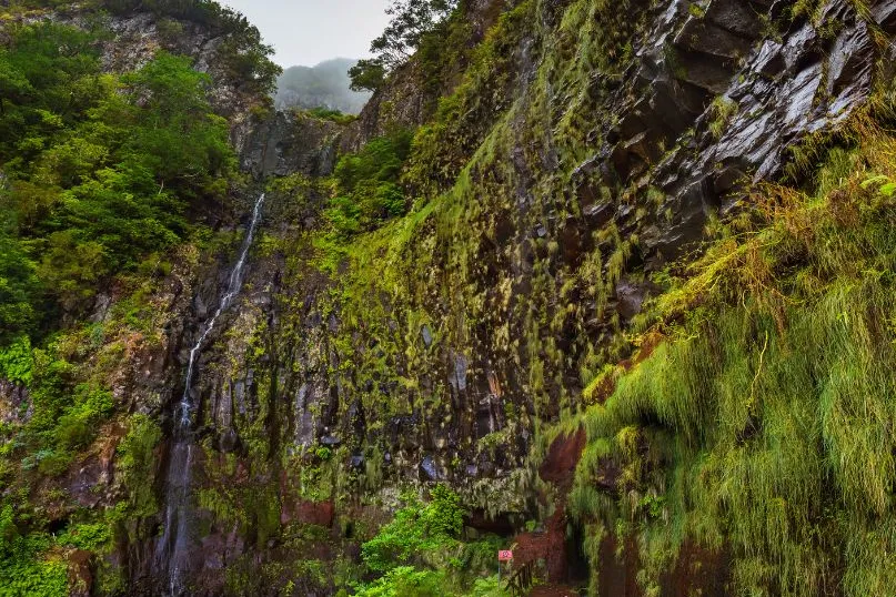 Eine Felswand, über die ein klarer Wasserstrom in die Tiefe fällt – ein stiller Wasserfall inmitten der wilden Natur Madeiras.