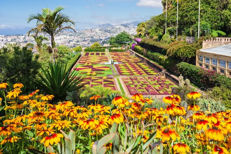 Blick auf die typischen botanischen Gärten Madeiras, in denen exotische Pflanzen in leuchtenden Farben blühen.