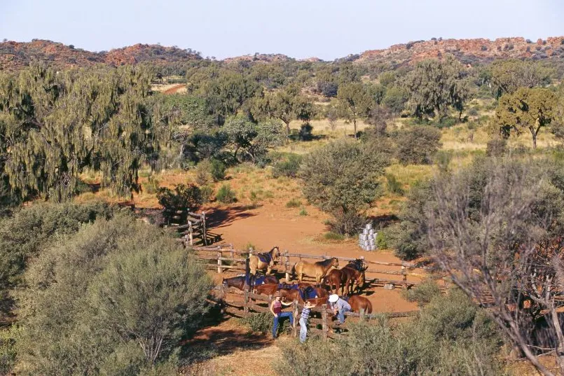 Trockene Landschaft mit Pferdeunterständen im Freien, wo Menschen sich um die Tiere kümmern.