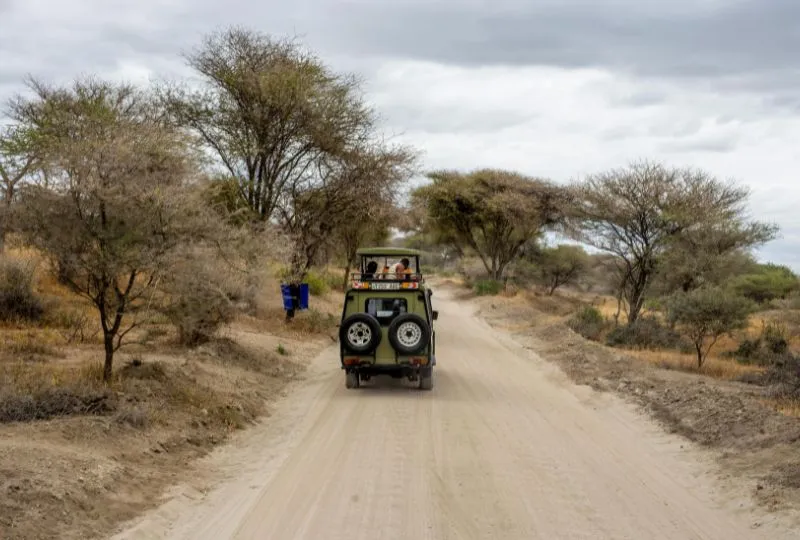 Südafrika Safari Africa on Foot.