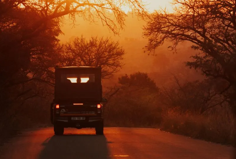 Südafrika Safari: Tag 8-9.