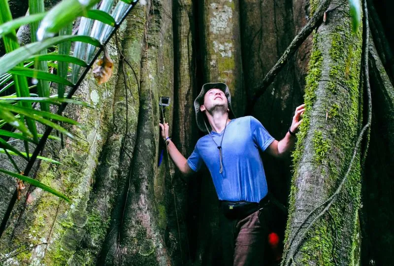 Natur am Amazonas in Ecuador.