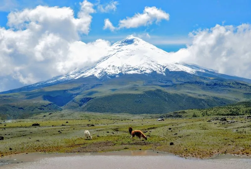 Cotopaxi in Ecuador.