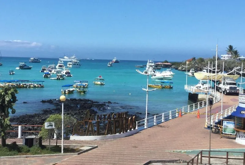Santa Cruz, Galapagos Ecuador.