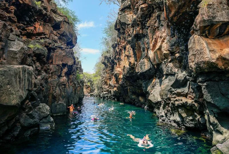 Schnorcheln auf den Galapagos Inseln.