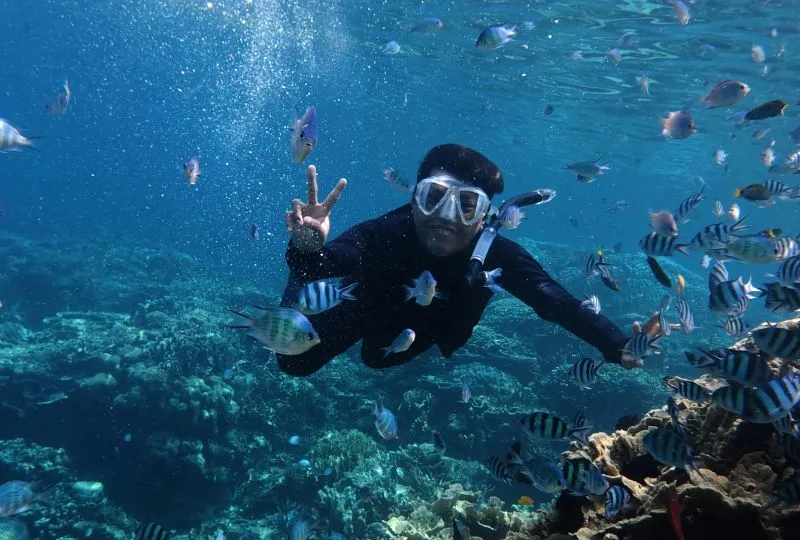 Flores - Schnorcheln in Riung.