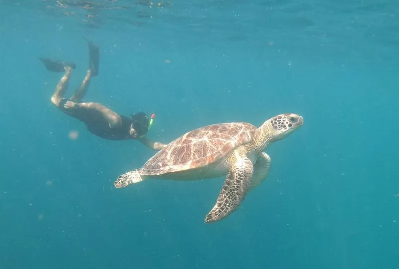 Schnorcheln auf Gili Trawangan.