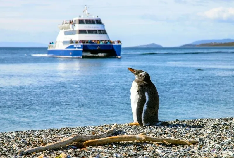 Argentinien Patagonien Reise - Ushuaia.