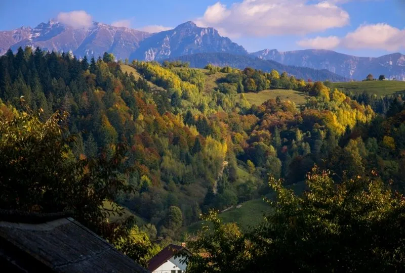 Transsilvanien Reise - Brașov Natur & Bären.