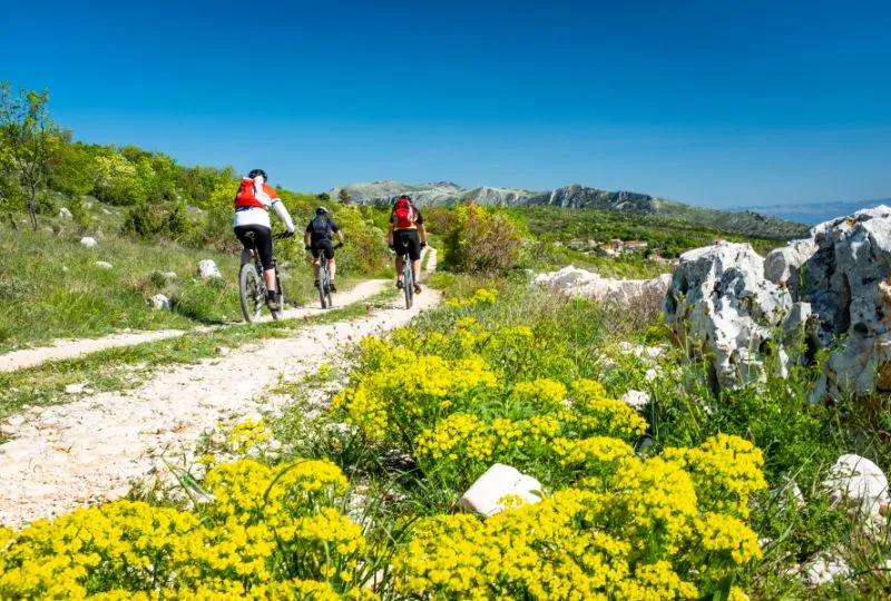 Kroatien Inselhuepfen -Mountainbike Tour auf Brač.