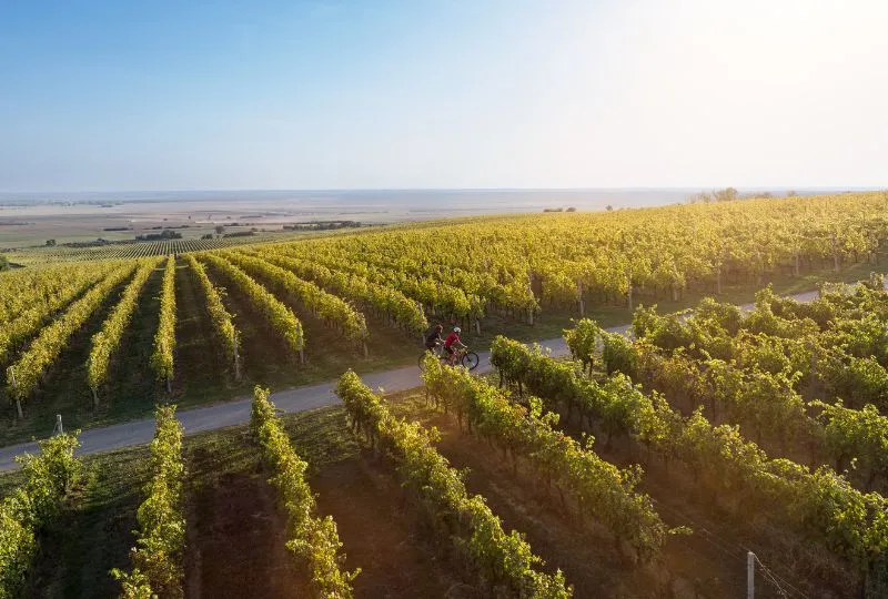 Roadtrip Kroatien - Baranja.