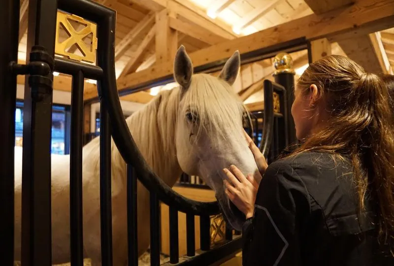 Roadtrip Kroatien - Moslavina.