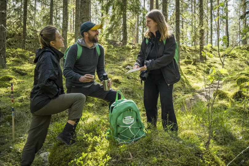 Reiseexpertin Sylvia zeigt Besuchern die Natur Schwedens auf einem Waldspaziergang.