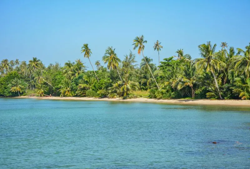 Palmenstrand in Thailand. 