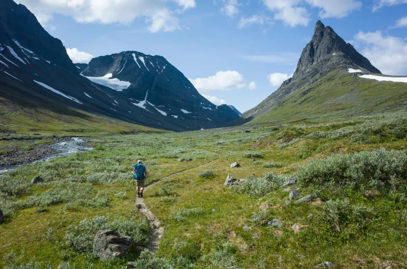Wandernder Mann in Schwedisch-Lappland mit Blick auf den Berg Nallo, umgeben von arktischer Natur in Nordschweden an einem Sommertag.