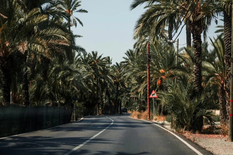 Küstenstraße mit Wanderern, Blick auf grüne Palmen.