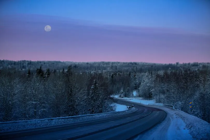 erschneite Straße, die sich durch einen winterlichen Wald unter einem violett-blauen Himmel mit sichtbarem Mond schlängelt.