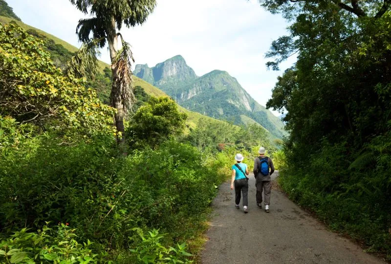 Zwei Wanderer auf grünem Pfad in Sri Lanka