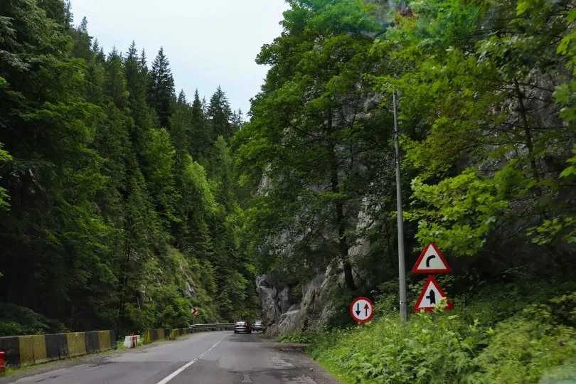 Eine schmale Straße führt durch eine dicht bewaldete Schlucht mit hohen Felswänden und üppigem Grün. Mehrere Autos fahren entlang der Strecke. Am rechten Straßenrand stehen Verkehrsschilder, die auf Kurven und Gegenverkehr hinweisen.