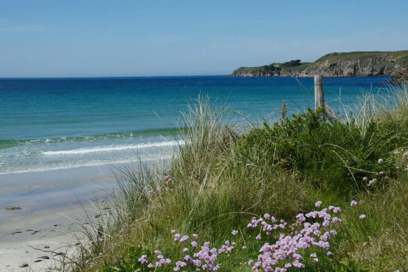 Sandstrand mit sanften Wellen unter klarem Himmel. Im Vordergrund wachsen Dünenpflanzen und rosa blühende Blumen zwischen hohem Gras, daneben ein einfacher Holzpfosten mit Drahtzaun. Im Hintergrund erstreckt sich das ruhige, türkisfarbene Meer bis zu einer felsigen Landzunge.