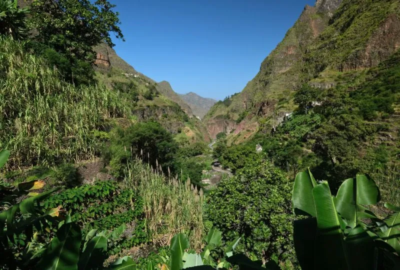Grüne Natur auf Santo Antao, Kapverden