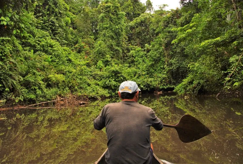 Kanufahrt im kolumbianischen Dschungel mit einem lokalen Guide.