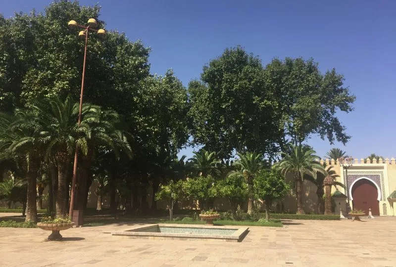 Bäume neben dem Königspalast in Fès el Jedid, Marokko.