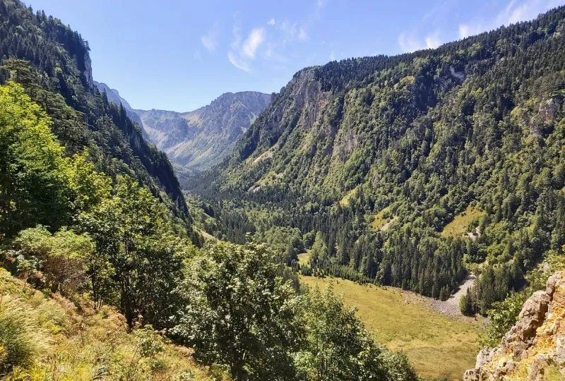 Grüne Wälder in der Susica Schlucht in Montenegro