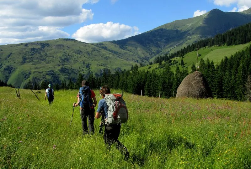 Drei Wanderer in einem Feld in Montenegro, umgeben von Bergen.