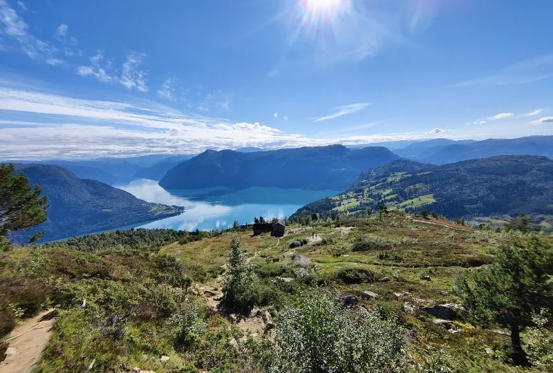 Wanderung durch die grünen Berge Norwegens mit Ausblick auf einen Fjord.
