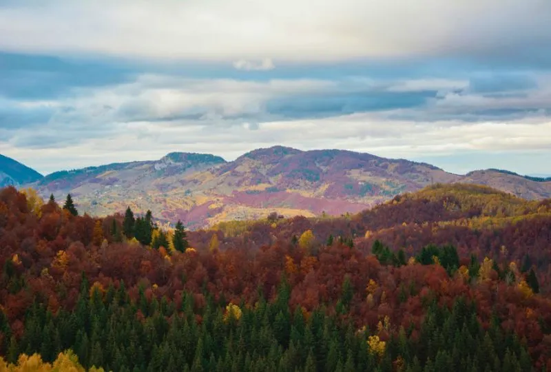 Bunter Herbst in den Wäldern Rumäniens