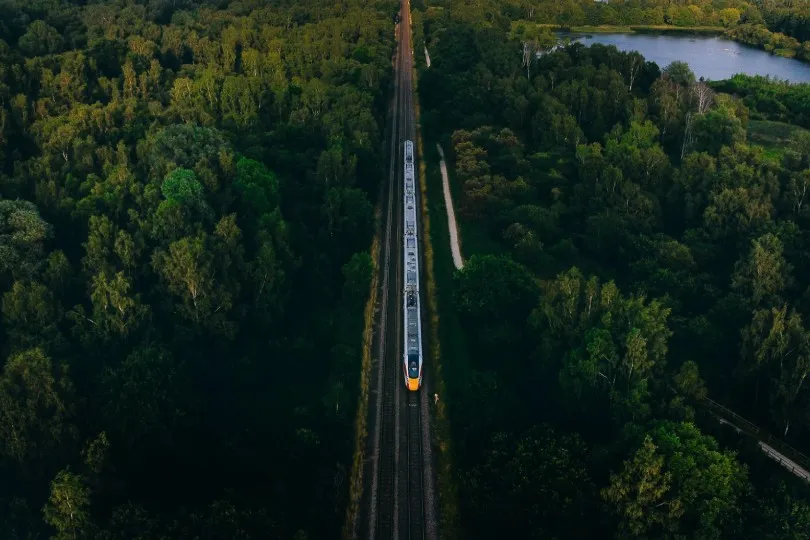 Zug fährt geradeaus durch dichten Wald entlang einer Bahnstrecke.