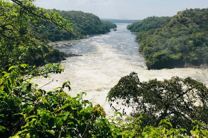 Uganda Urlaub - Murchison Falls Nationalpark.