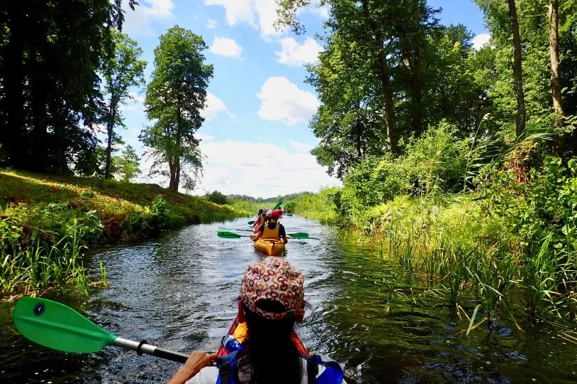 Reisende fahren auf Kayaks durch einen kleinen Bach in Litauen zwischen grünen Gräsern und hohen Bäumen.