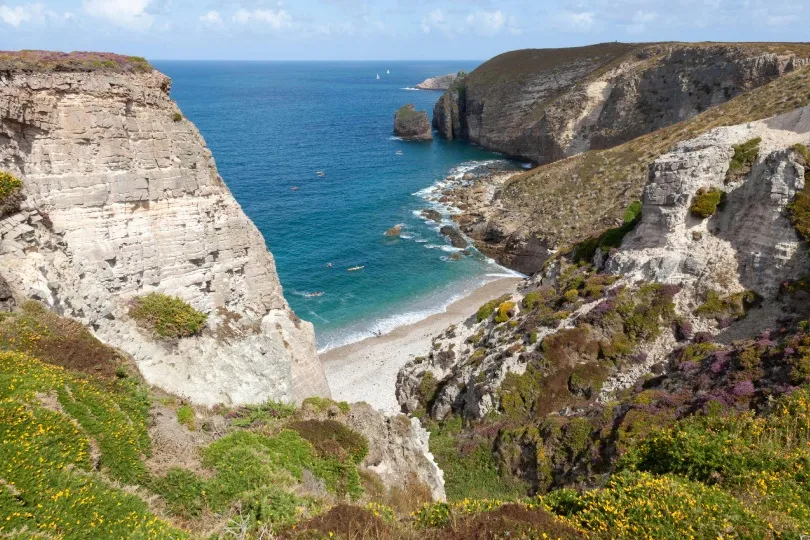 Blick von einer Klippe auf eine felsige Küste mit klarem, tiefblauem Meer. Am Ufer liegen große, helle Steine und Felsen im Wasser. Im Vordergrund bedecken violett blühende Heidepflanzen und gelbe Blumen den Hang und setzen farbige Akzente in der Landschaft.