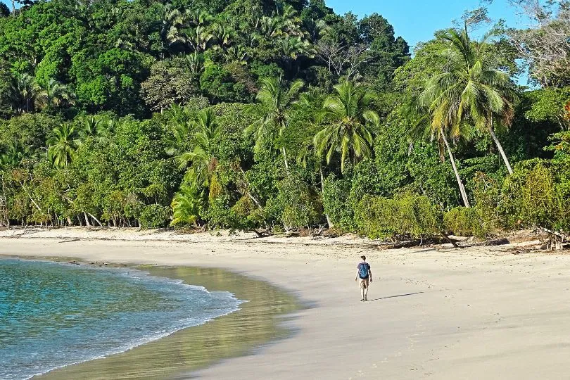 Ein Tourist spaziert über einen einsamen Sandstrand in Costa Rica, direkt neben dem Dschungel.